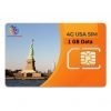 USA SIM Card India